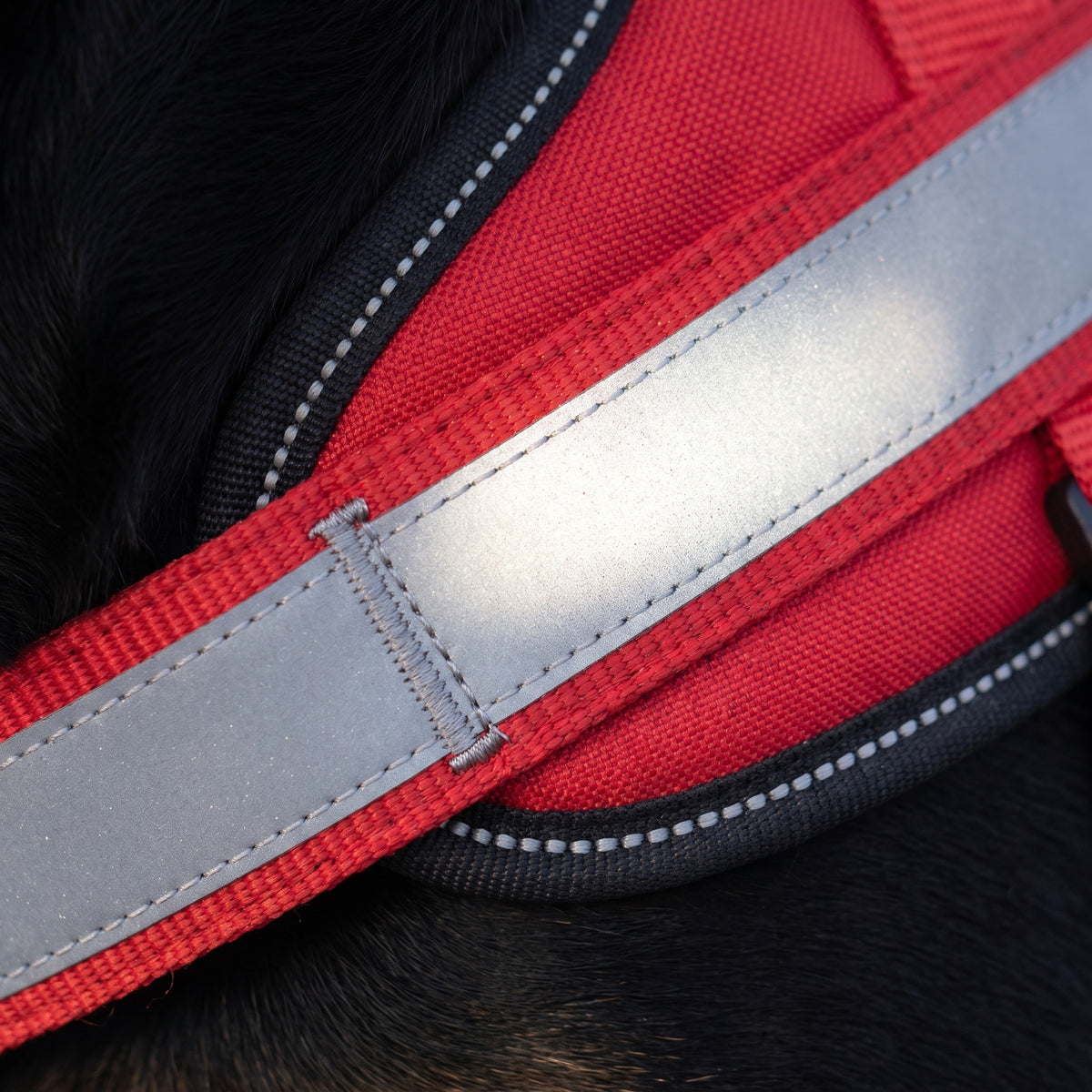 Close-up of the stitching and the reflective strip on the red Choke-Free Harness