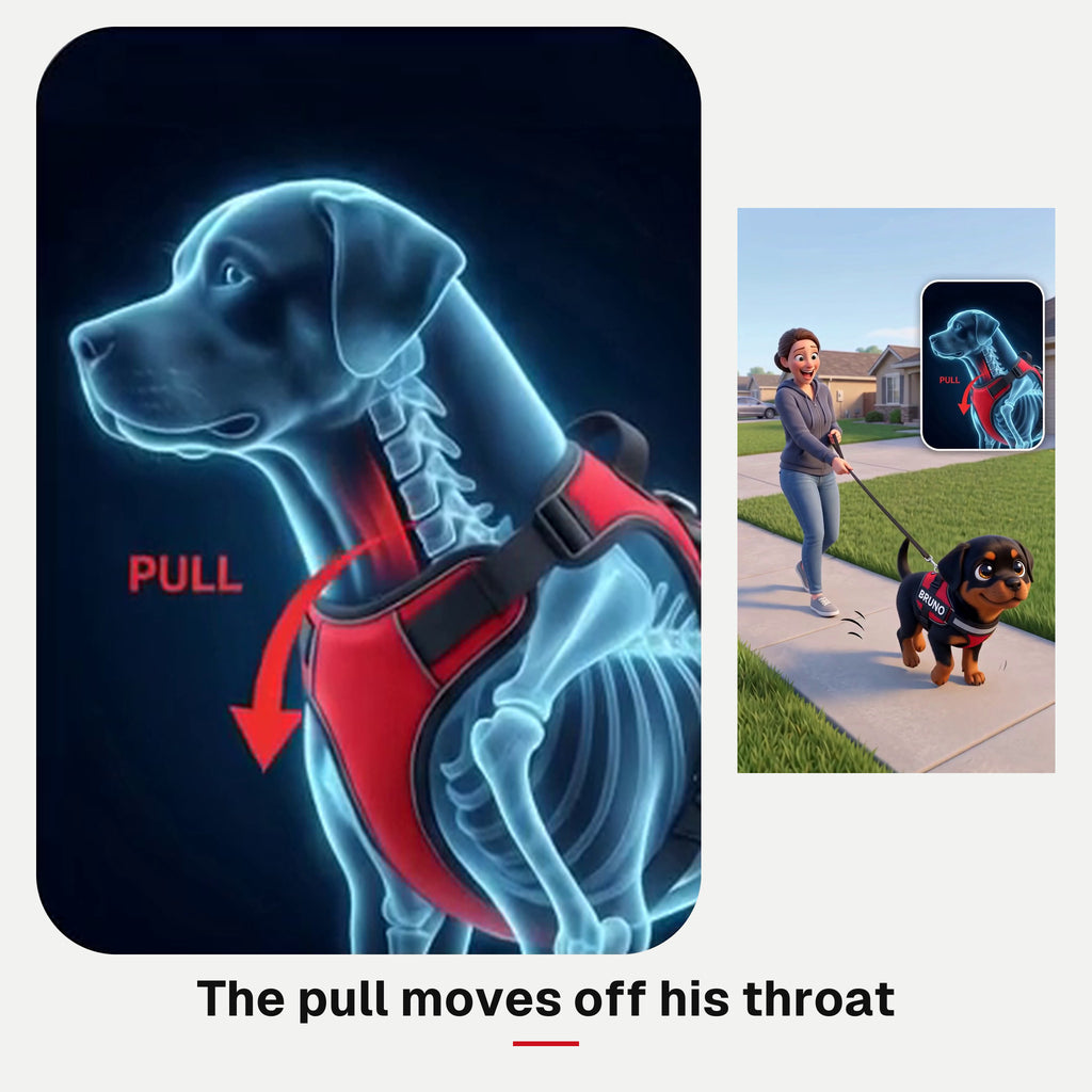 X-ray illustration: the pull moves off his throat onto the padded chest plate