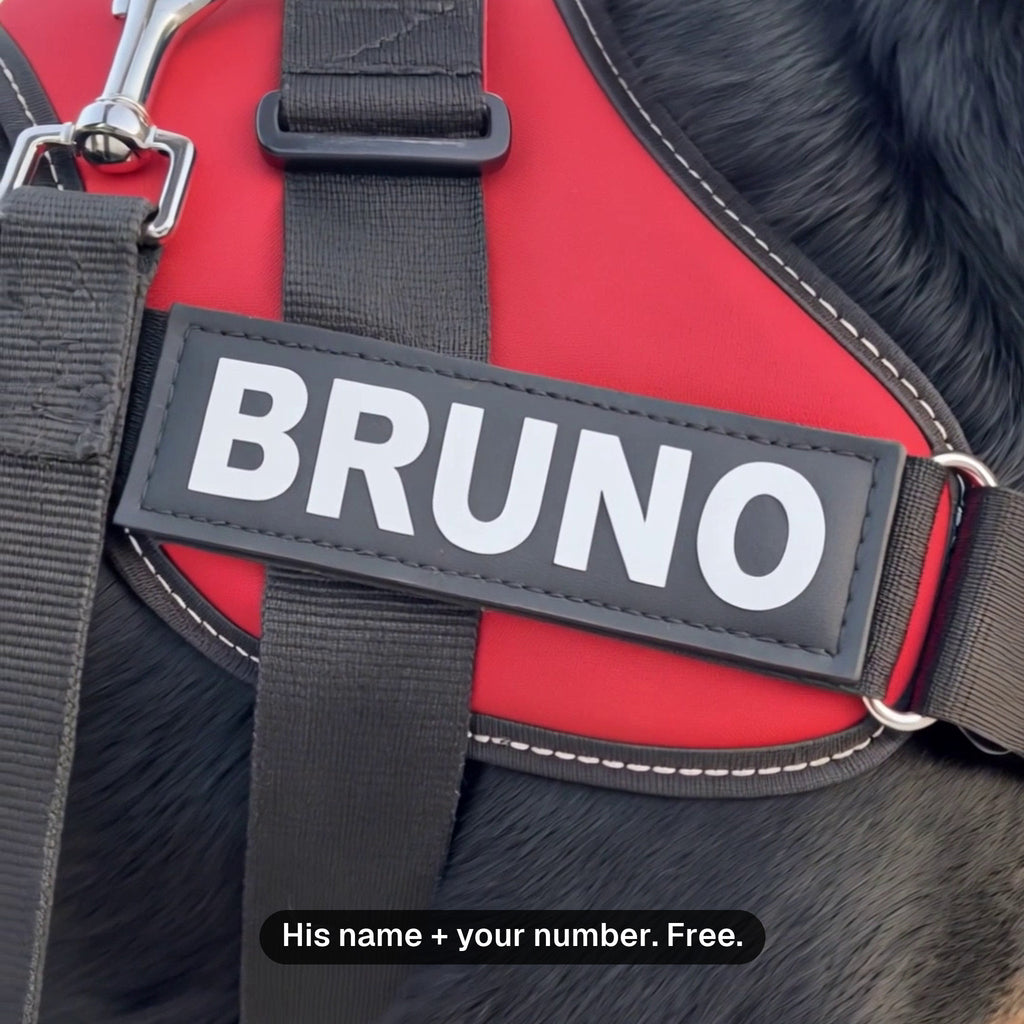Close-up of the BRUNO name patch: his name and your number, printed free