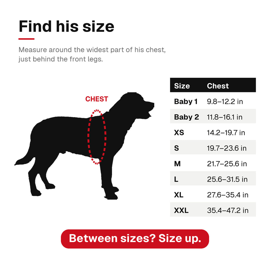 Size chart: measure his chest just behind the front legs, Baby 1 to XXL